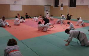 5883b2c385b2c_judoparents.8jpg.jpg