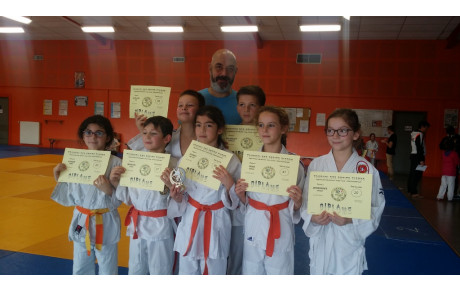 Petits Tigres à Naintré  Poussins