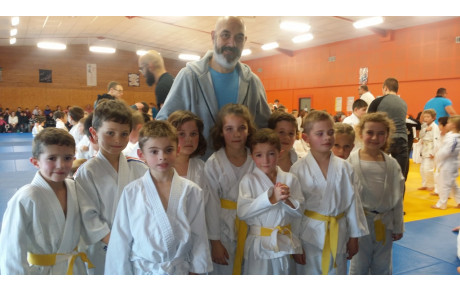 Petits Tigres Sous Poussins à Naintré