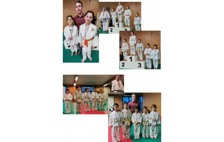 inter clubs Châtellerault poussins et sous poussins 06/02/2022