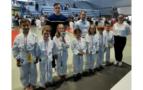 Animations Poussins et sous Poussins  8 mai à Châtellerault
